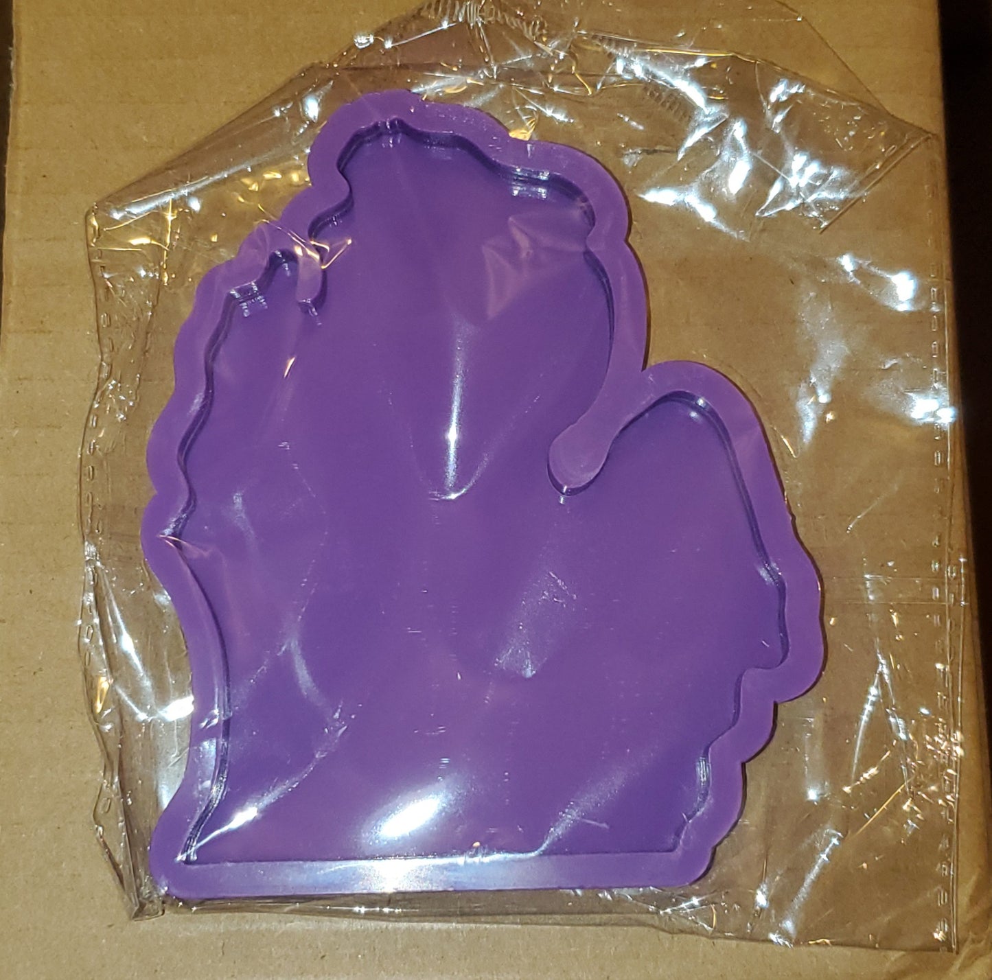 Michigan Coaster