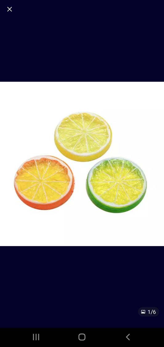 2" Fruit Slice
