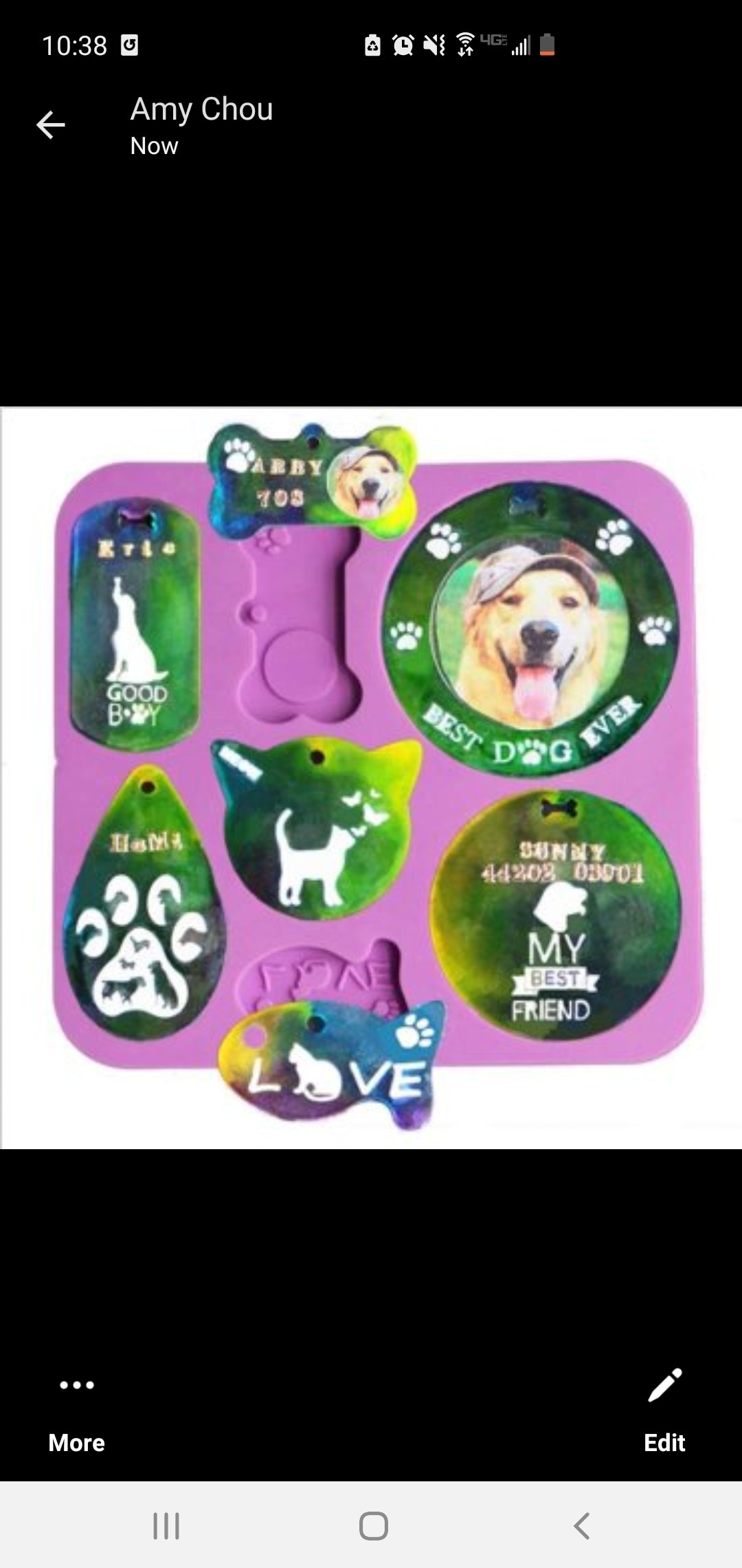 Pet Tags Mold