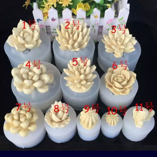 Succulent - Cactus 3D molds