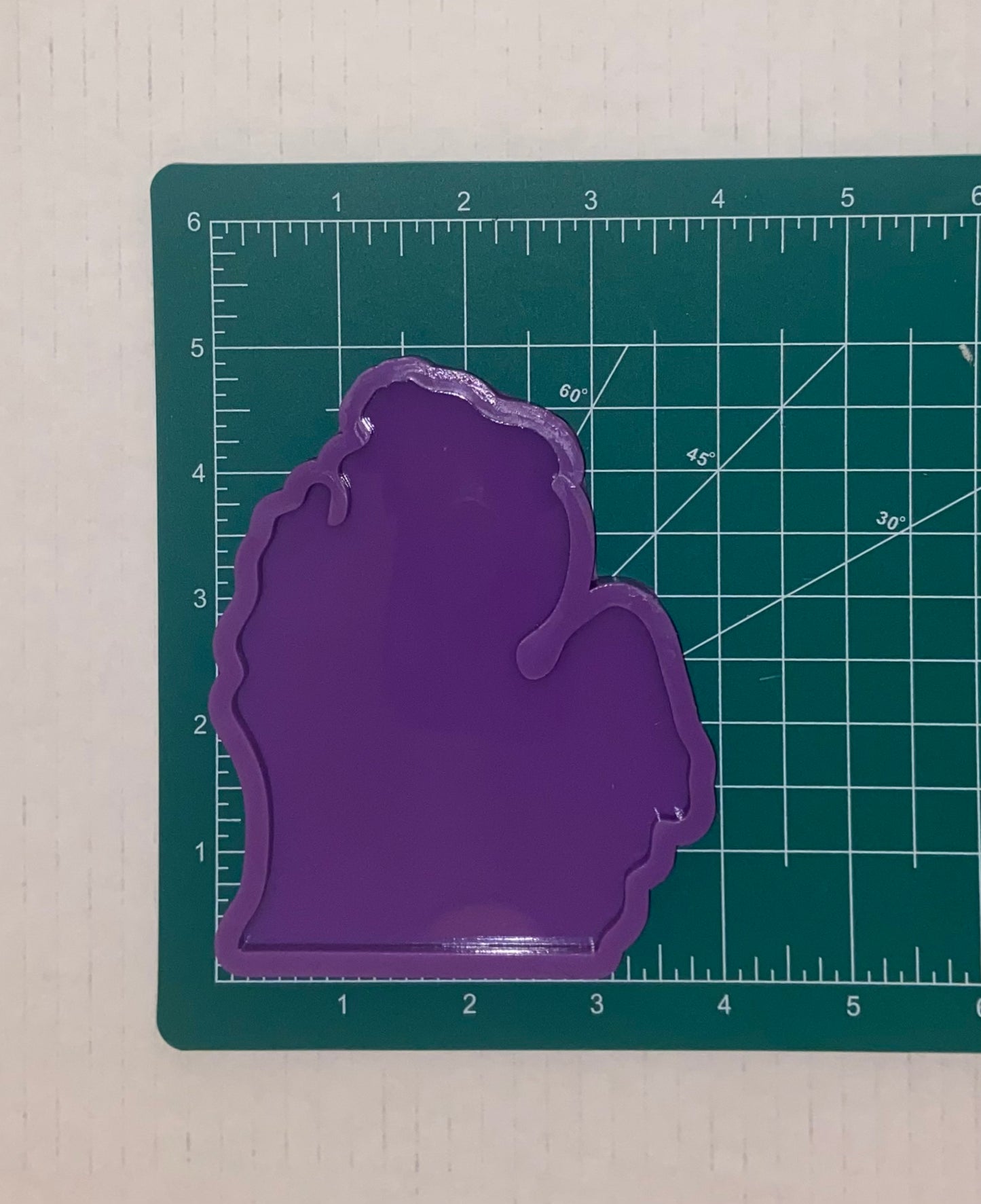 Michigan Coaster